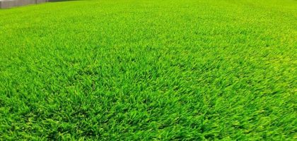 Toko Rumput Sintetis Terdekat Bekasi – Rumput Sintetis Murah untuk Taman