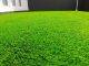 Toko Rumput Sintetis Terdekat Bekasi – Rumput Sintetis Murah untuk Taman