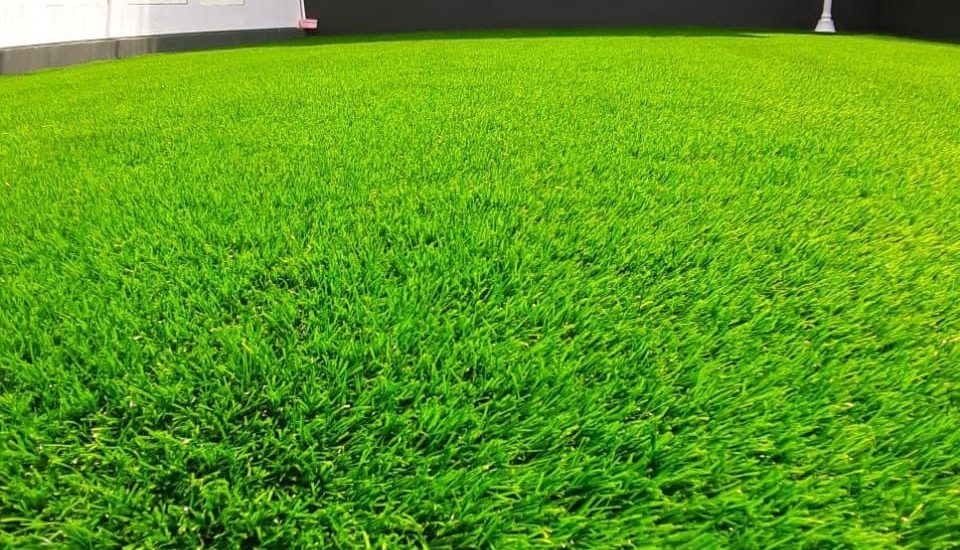 Toko Rumput Sintetis Terdekat Bekasi – Rumput Sintetis Murah untuk Taman